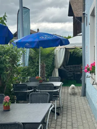 Top 5 des raisons de choisir l’Hôtel de Jura pour un séjour dans le Jura bernois