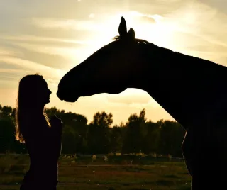 Pitch-Perfect: Tuning the Horse-Human Relationship