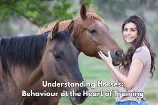 Understanding Horses: Behaviour at the Heart of Training