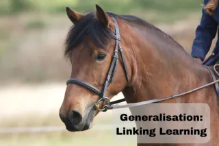 Generalisation: Linking Learning