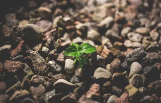 Start Where You Are: How to Begin Again Without Shame or Pressure