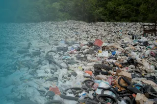 Why Does Plastic Waste Need to Be Reduced?
