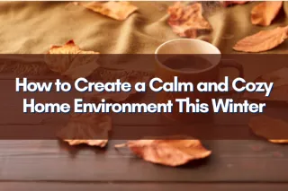 How to Create a Calm and Cozy Home Environment This Winter