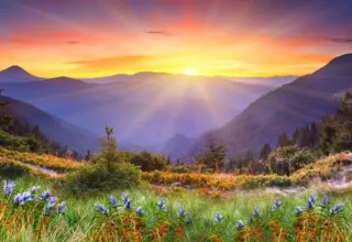 Inspirational Quote Blog