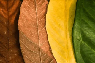 When Seasons Shift, So Should Our Spaces