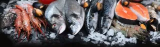 Bariatric Air Fried Cajun Catfish Recipe