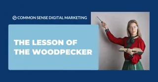The Lesson of The Woodpecker