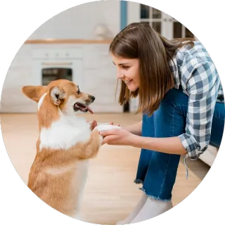 FAQ image
