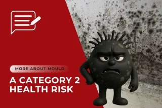 Mould: A Category Two Health Risk