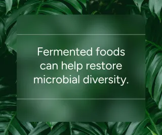 Fermented Foods: Restore Microbial Diversity