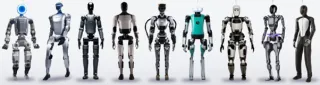 Innovación en Almacenamiento: Robots Autónomos Revolucionan la Logística