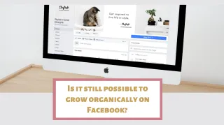 Is it still possible to grow organically on Facebook?