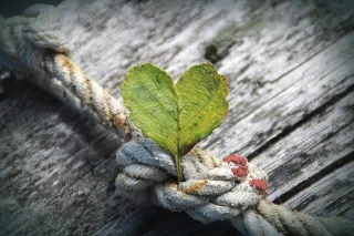 Simple Steps For A Big Change: Your Gratitude Journey