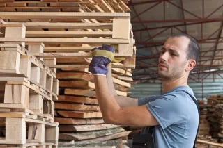 Diferencias entre pallets de madera y pallets de plástico: ¿Cuál elegir?