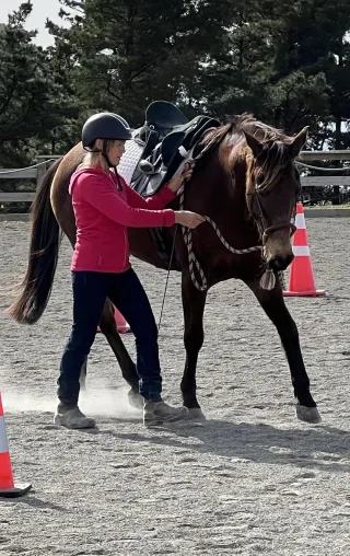 Bringing It All Together: How In-Hand Work Prepares Both Horse and Rider for Riding