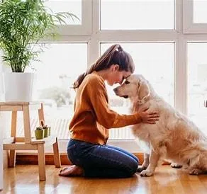 Pet Technology Accidentally Solved Human Healthcare