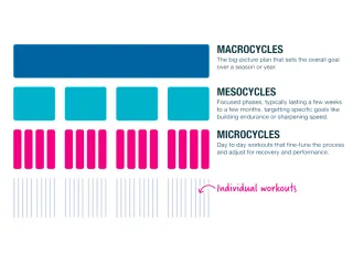 Why You Should Train in Cycles (And Not Just Do Random Workouts Every Day)