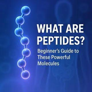 What Are Peptides and How Do They Work?