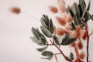 Good Thought Hygiene (And how practicing it can give you your power back!)