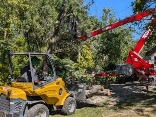 Choosing the Right Tree Service in Decatur