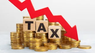 What is Tax Loss Harvesting And Why Do You Need to Do it?