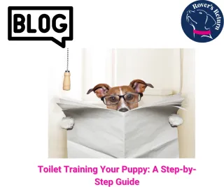 Toilet Training Your Puppy: A Step-by-Step Guide