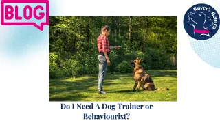 Do I Need A Dog Trainer or Behaviourist?