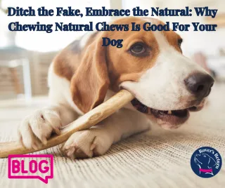 Ditch the Fake, Embrace the Natural: Why Chewing Natural Chews Is Good For Your Dog
