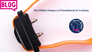 The Hidden Dangers of Punishment in Training