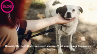 Decoding The Dog's Body Language