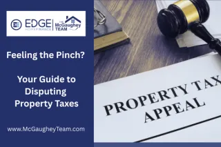 Feeling the Pinch? Your Guide to Disputing Property Taxes