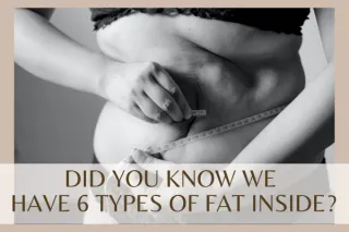 Hey! Did You Know We Have 6 Types of Fat Inside
