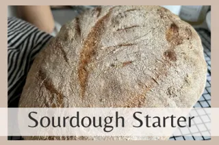 Make A Sourdough Starter In 5 Easy Steps