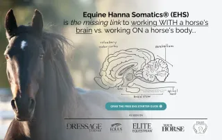 Hvordan Virker Equine Hanna Somatics®?