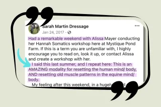 Hanna Somatics is an AMAZING Modality for Dressage Horses & Riders!