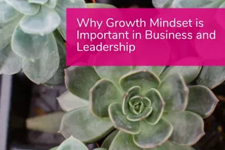 Why Growth Mindset is Important in Business and Leadership