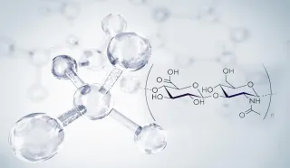 Perché Scegliere Probiotici e Postbiotici per Stimolare l'Acido Ialuronico Naturale nella Pelle