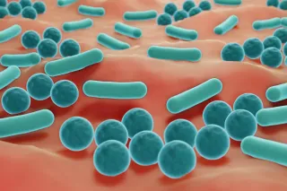 Come Mantenere una Pelle del Viso Giovane