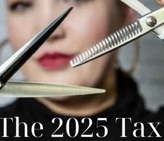 Taxes Aren’t Punishment: They Are Proof You’re Profitable