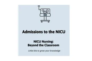 Admissions in the NICU