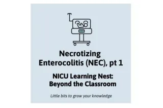 

NEC Part 1: Risk factors