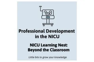 Professional Development in the NICU