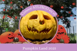 Pumpkin Land 2025