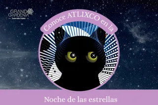 Noche de las estrellas
