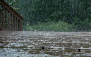 雨中電單車的無畏無懼
