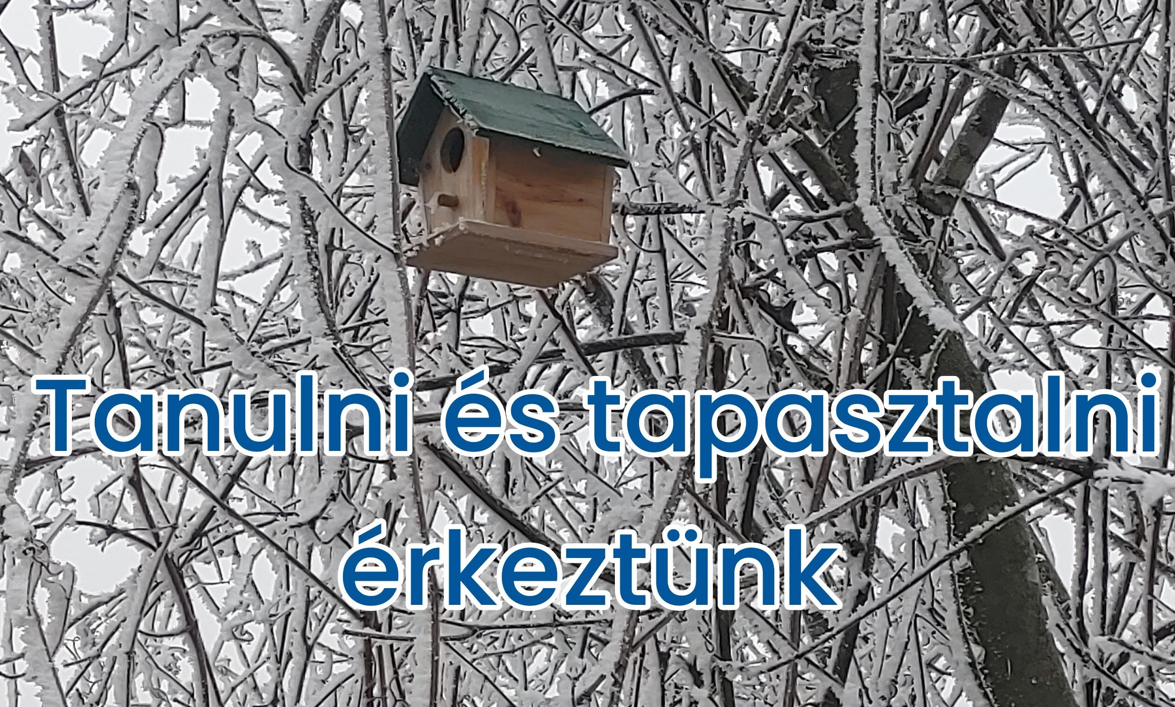 Elképesztő és fájdalmas leckéink