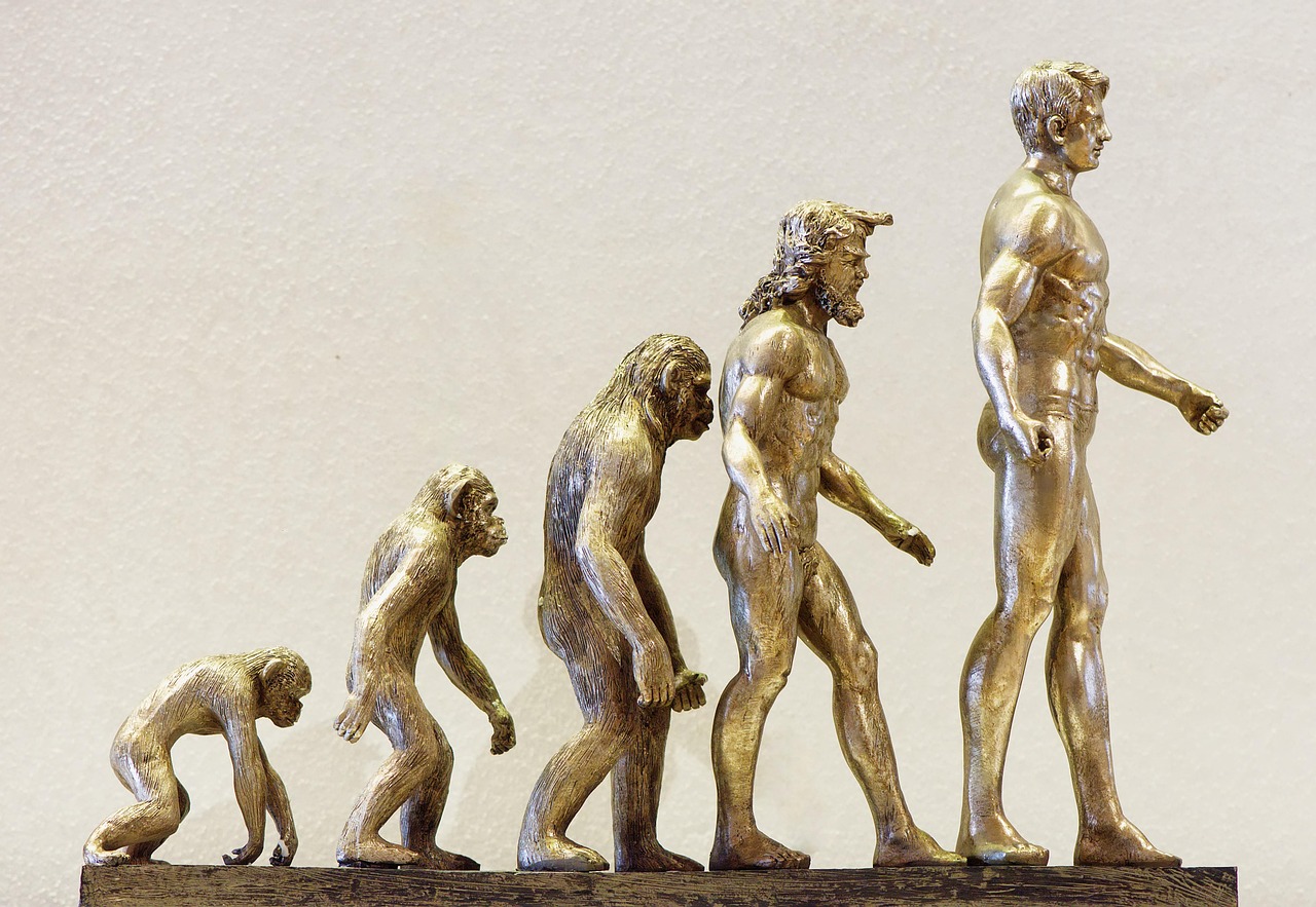 🔄 Evolve, Accept, Adapt: The Human Side of AI and the Future of Work