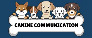 Do You Know What Your Dog Is Saying?