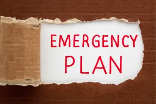 Keeping Your Pets Safe in Emergencies