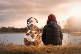 More Years, More Wags: The Importance of a Healthy Weight For Your Dog